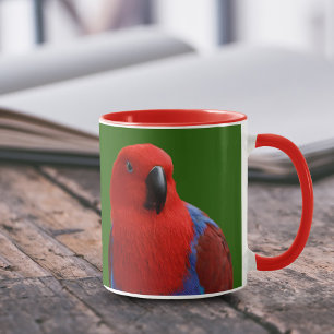 Caneca Belo "Senhora em Vermelho" Eclectus Parrot