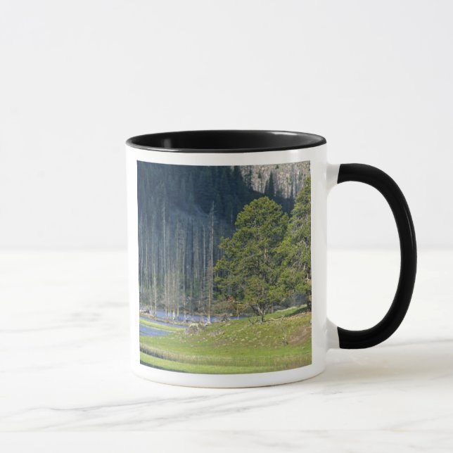 Caneca Bisão com bezerro no Parque Nacional de Yellowston (Direita)