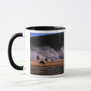 Caneca Bisões pastando na Bacia de Gêiser Superior
