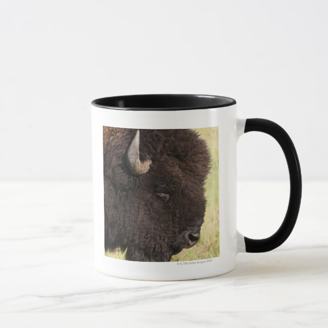 Caneca Bisonte americano, South Dakota (Direita)