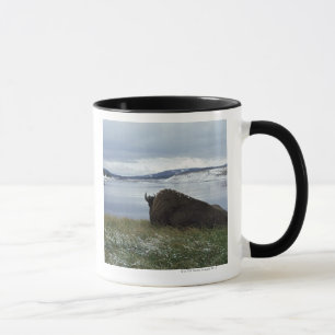 Caneca Bisonte que descansa por Yellowstone River com