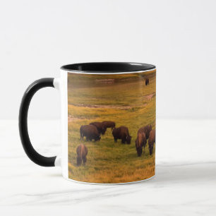 Caneca Bisonte que pasta no monte no vale de Hayden