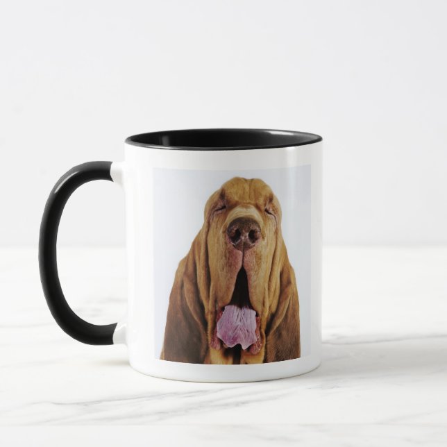 Caneca Bloodhound (cão do St. Hubert) com olhos fechados, (Esquerda)