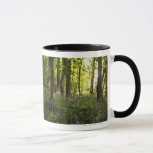 Caneca Bluebells em uma floresta