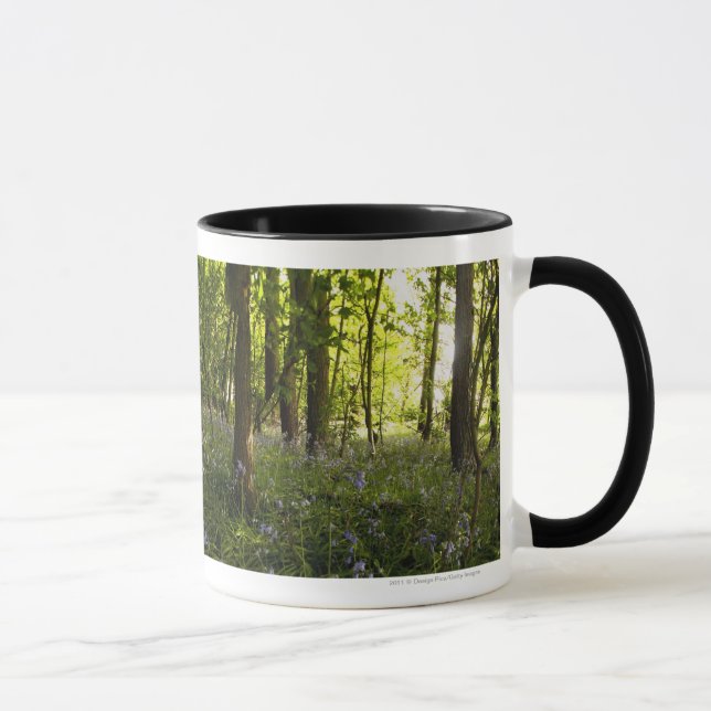 Caneca Bluebells em uma floresta (Direita)