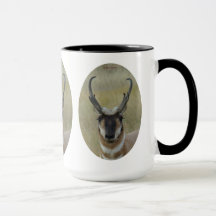 Bode Antílope Pronghorn Negro Cara Tiro na Cabeça