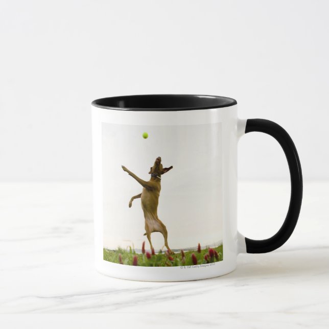 Caneca Bola de tênis de travamento do cão no meio do ar (Direita)