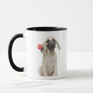 Caneca bonito, admiração, romance, amor,