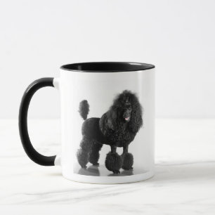 Caneca Bonito, aparado, preto, corpo completo da caniche