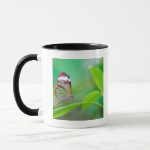 Caneca Borboleta de vidro da asa que relaxa no verde