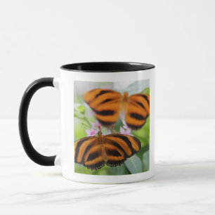 Caneca Borboleta longa 2 da asa da zebra
