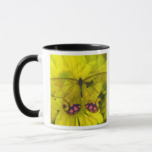 Caneca Borboleta no Amarelo