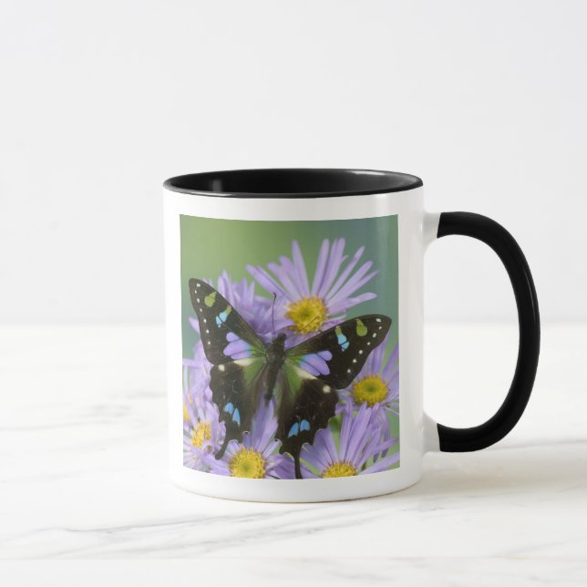 Caneca Borboleta sobre Roxo (Direita)