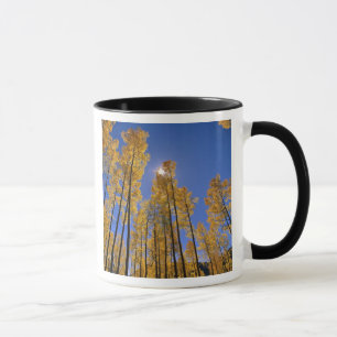 Caneca Bosque de álamos em outono na Cordilheira San Juan