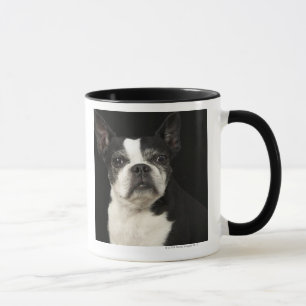 Caneca Bosten mais velho Terrier no fundo preto