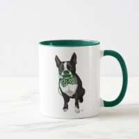 Boston Terrier com bigode verde e safado
