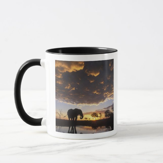Caneca Botswana, Parque Nacional Chobe, Elefante (Esquerda)