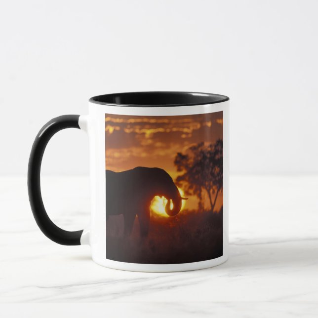 Caneca Botswana, Parque Nacional Chobe, Elefante Macho (Esquerda)