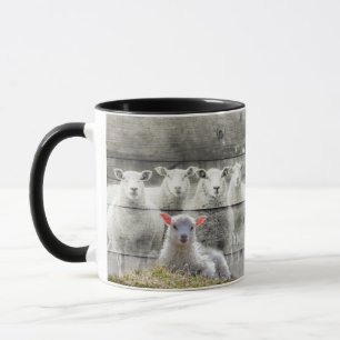Caneca Bovinos