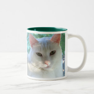 Caneca branca do gato do cabelo curto com verso