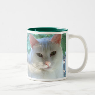 Caneca branca do gato do cabelo curto com verso