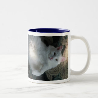 Caneca branca do gato, surpresa do gatinho