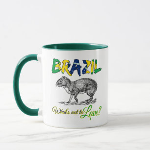 Caneca Brasil - O que não é amar a citação do Brasil