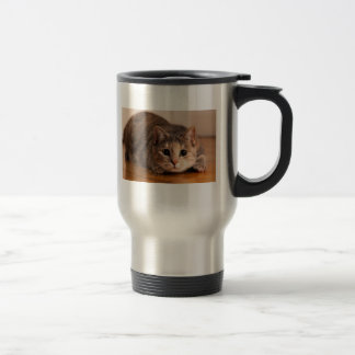 Caneca brincalhão do gato