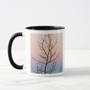 Caneca Bryce Canyon, Utah. Árvore nua em frente ao pôr do