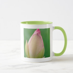 Caneca Bulbo de Nenúfar Fechado, Jardim Botânico de Durba