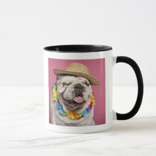 Caneca Buldogue inglês (18 meses velho) que veste uma