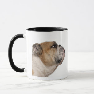 Caneca Buldogue inglês (6 anos velho)
