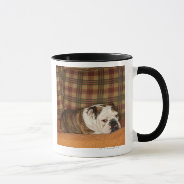 Caneca buldogue que encontra-se em um sofá (Direita)
