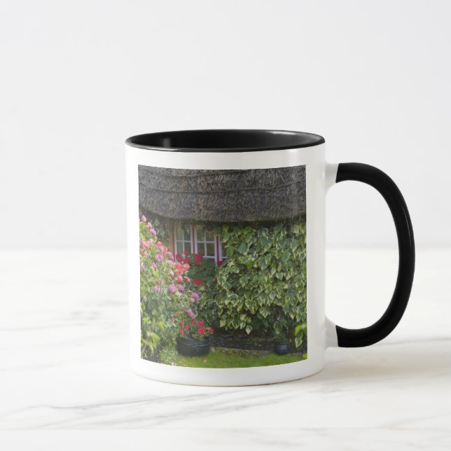 Caneca Cabana com telhado de colmo, Adare, Condado de Lim (Direita)