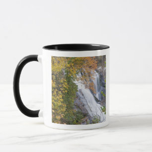 Caneca Cachoeira Bald River