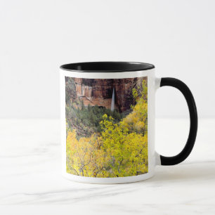 Caneca Cachoeira efêmera derrama-se de uma fenda no penha