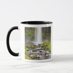 Caneca Cachoeira Latourell, Desfiladeiro do Rio Columbia,