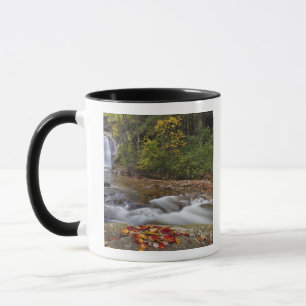 Caneca Cachoeira Looking Glass no Pisgah National