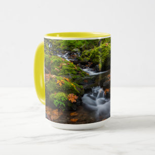 Caneca Cachoeira Starvation Creek Desfiladeiro do Colum