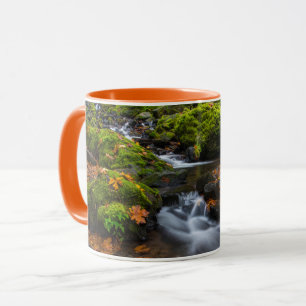 Caneca Cachoeira Starvation Creek Desfiladeiro do Colum