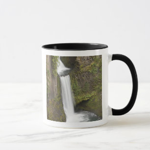 Caneca Cachoeira Toketee no condado de Douglas, Oregon