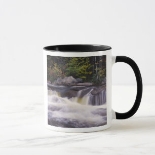 Caneca Cachoeiras, Kancamagus Highway, Branco