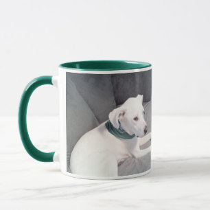 Caneca Cachorro Branco Bonito Vestindo Cinza Verde