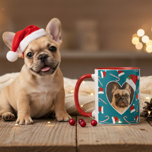 Caneca Cachorro Foto de Natal Santa Hat Teal Coffee Mug