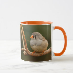 Caneca Cachorro Zebra Finch Sentado Bonito