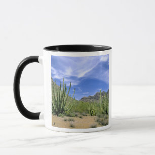 Caneca Cacto do deserto no Monumento Nacional Organ Pipe,