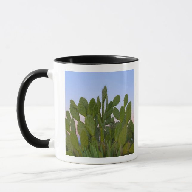 Caneca Cactos e sisal na Floresta Seca (Esquerda)