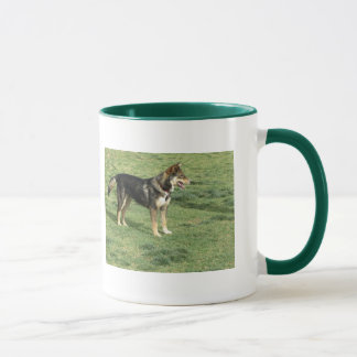 Caneca cães, animais de estimação, animais, canecas,