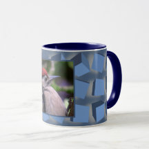 Caixas de Tumbing Azul