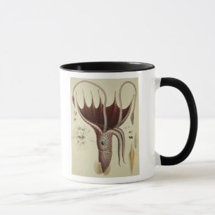 Caneca Calamar, Pl.2 'de Histoire Naturelle
